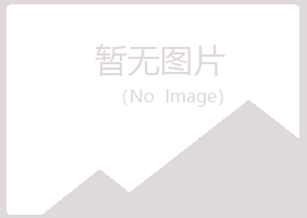 闻喜县女孩美容有限公司